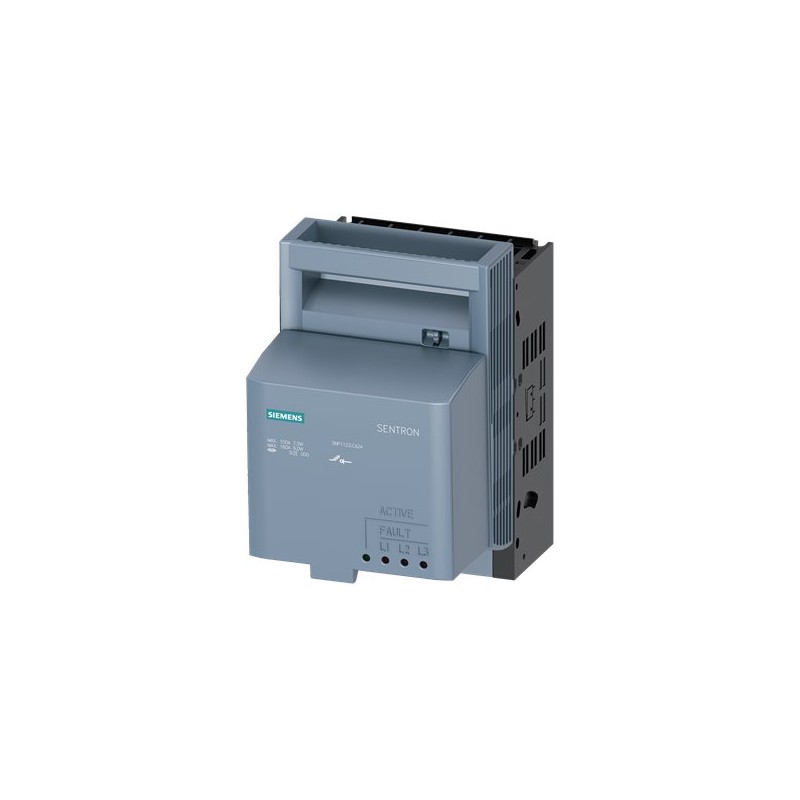 Siemens 3NP1123-1CA24