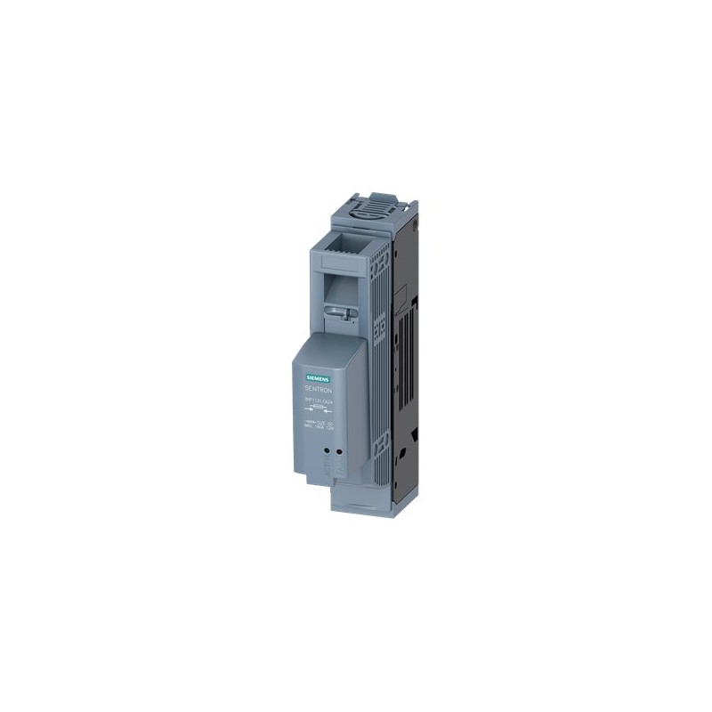 Siemens 3NP1131-1CA24