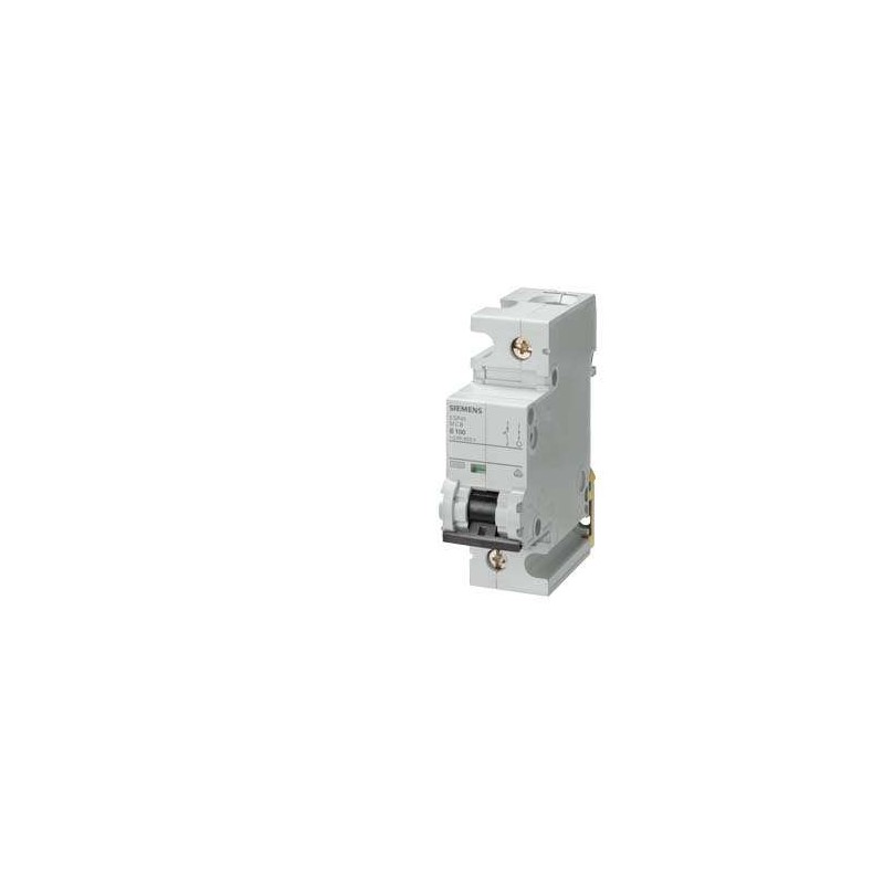 Siemens 5SP4180-8