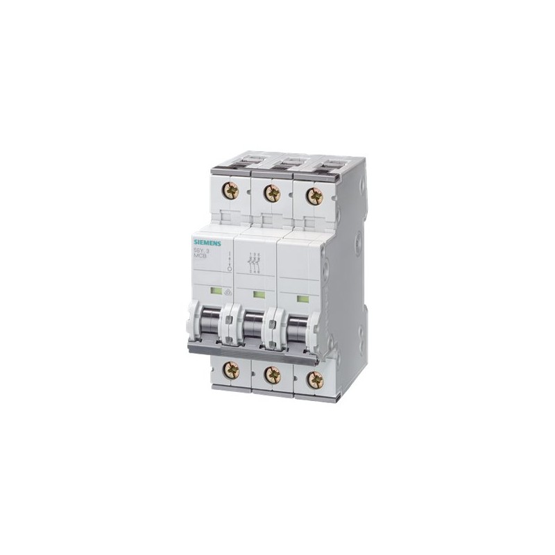 Siemens 5SY4306-8