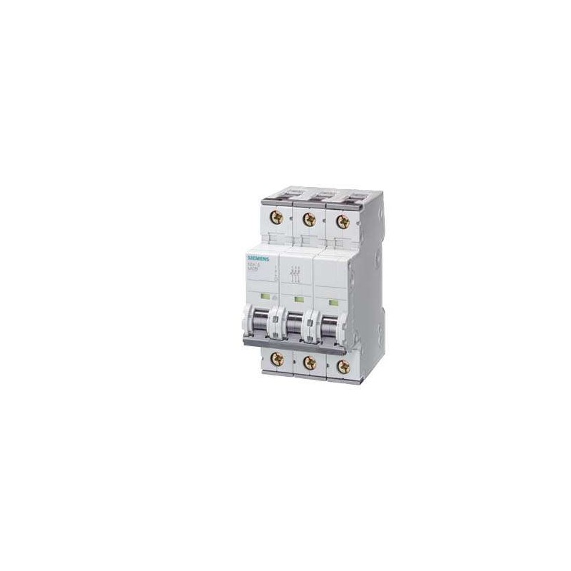 Siemens 5SY4310-6