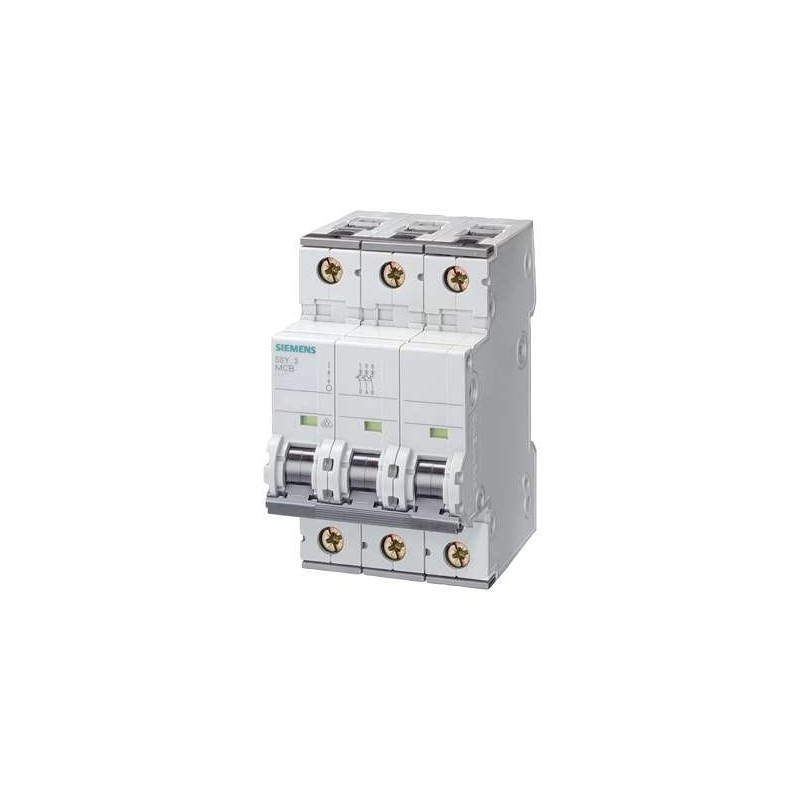 Siemens 5SY6310-7