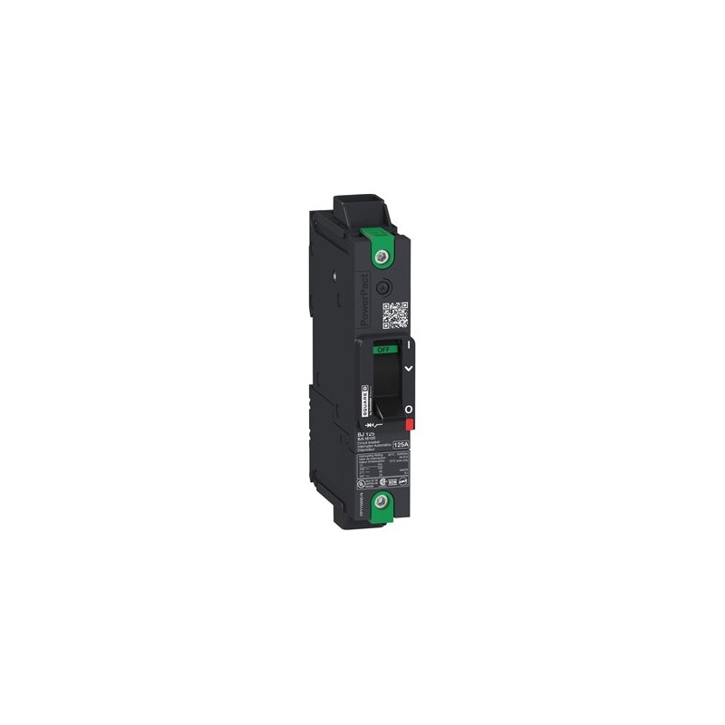 Schnieder Electric BDL16015