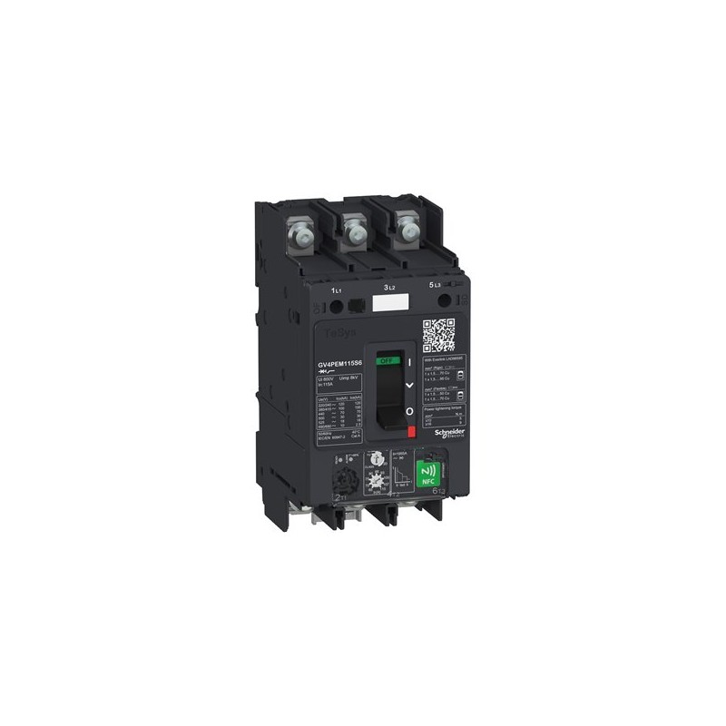 Schnieder Electric GV4PEM80S6