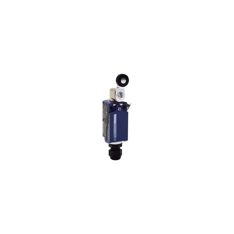Schnieder Electric XCKD3918P16EX