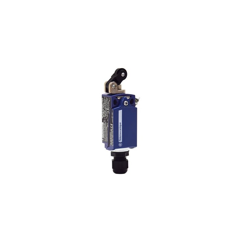 Schnieder Electric XCKD3921P16EX