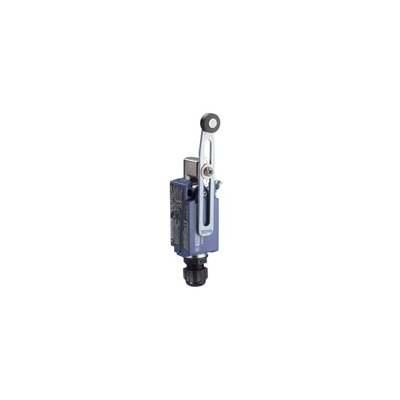 Schnieder Electric XCKD3945P16EX