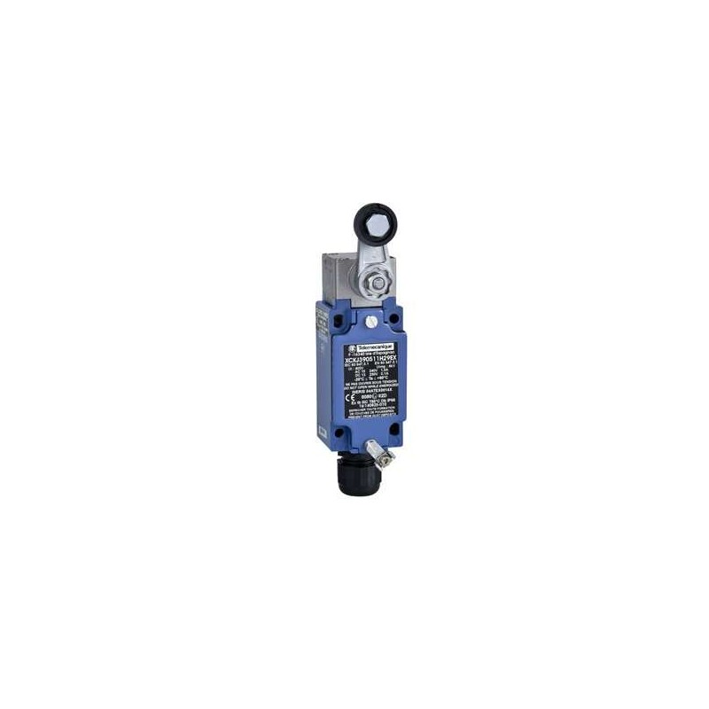 Schnieder Electric XCKJ390511H29EX