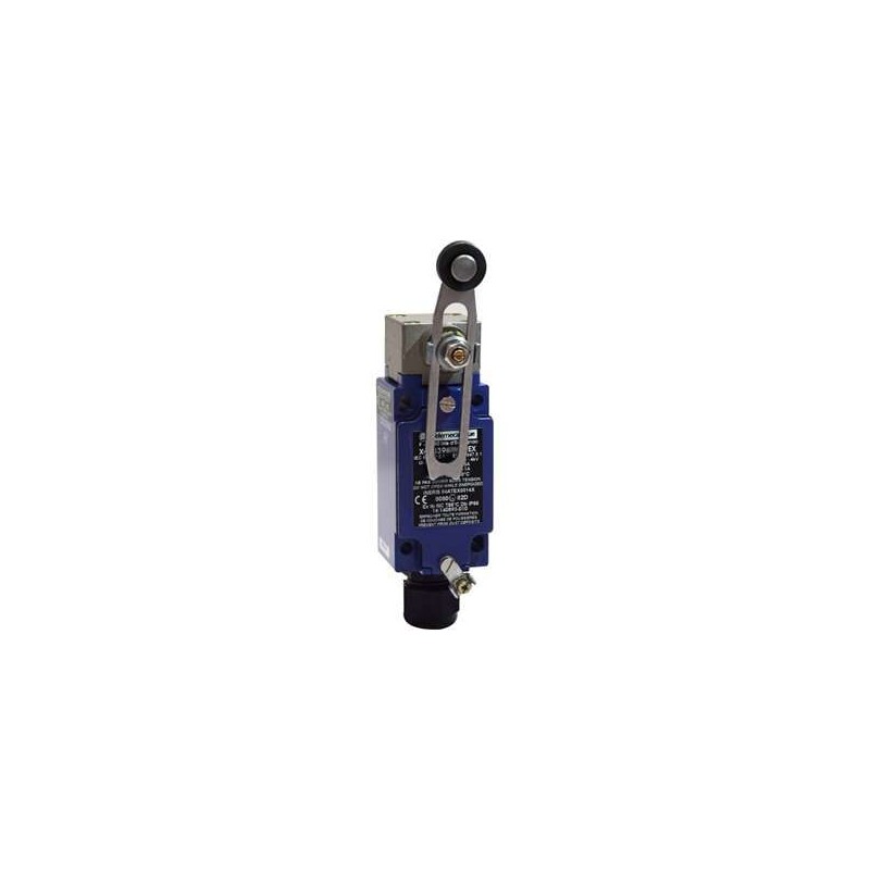 Schnieder Electric XCKJ390541H29EX