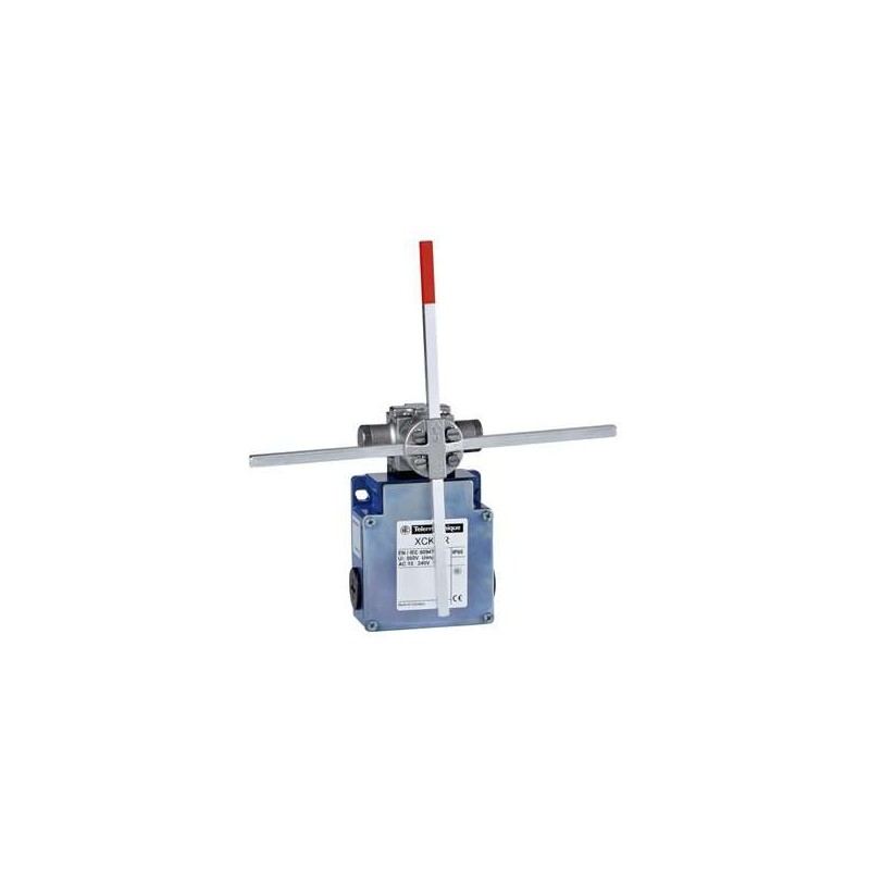 Schnieder Electric XCKMR44D1H29