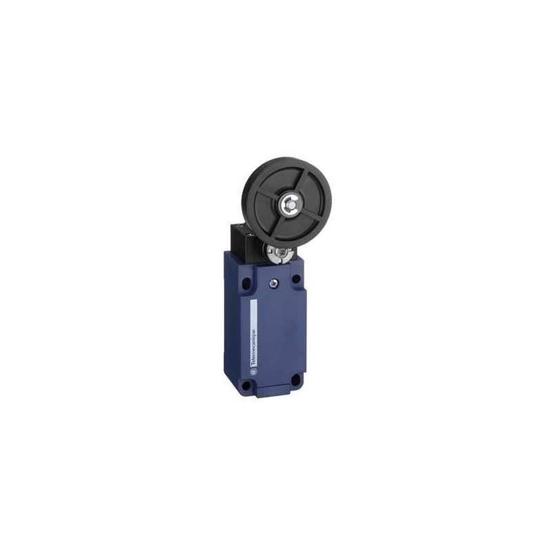 Schnieder Electric XCKS139H29