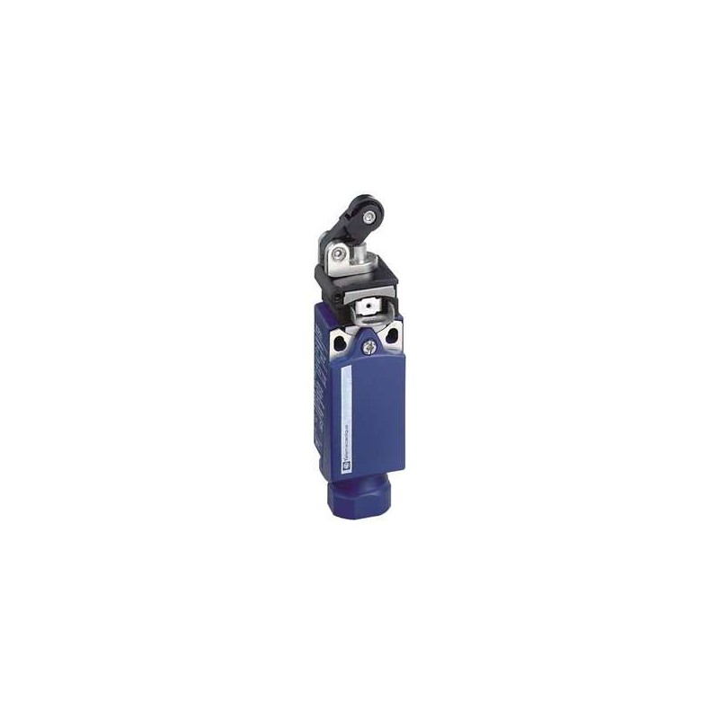 Schnieder Electric XCPR2521G13