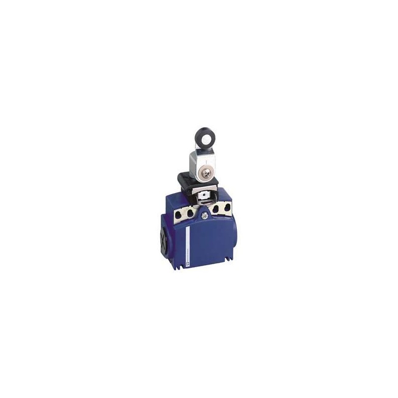 Schnieder Electric XCTR2118G11