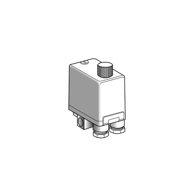 Schnieder Electric XMPE12B2441