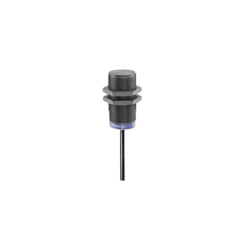 Schnieder Electric XS230AAPAL10