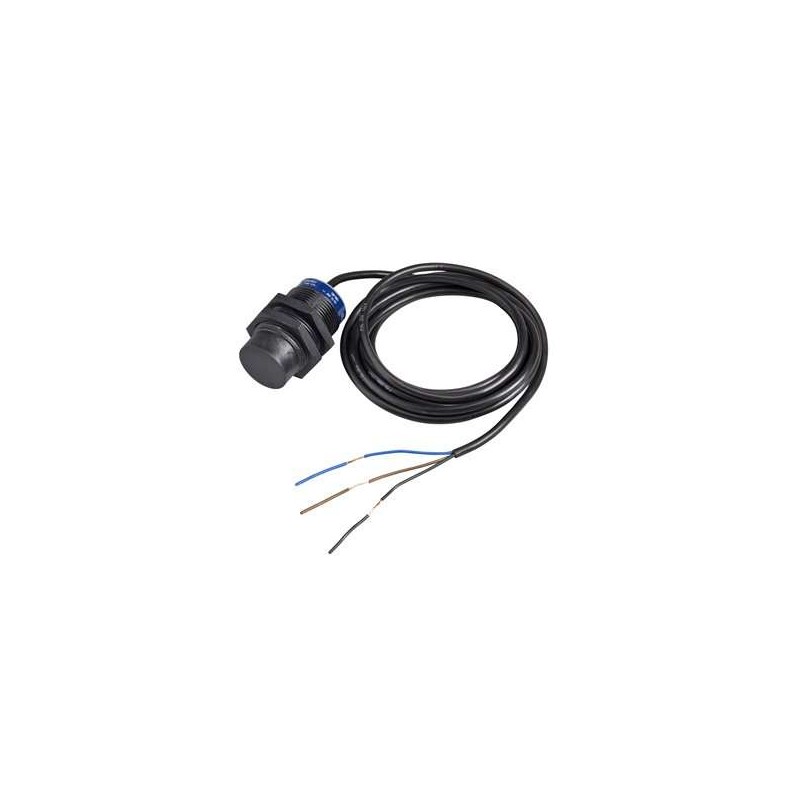 Schnieder Electric XS4P30AB110
