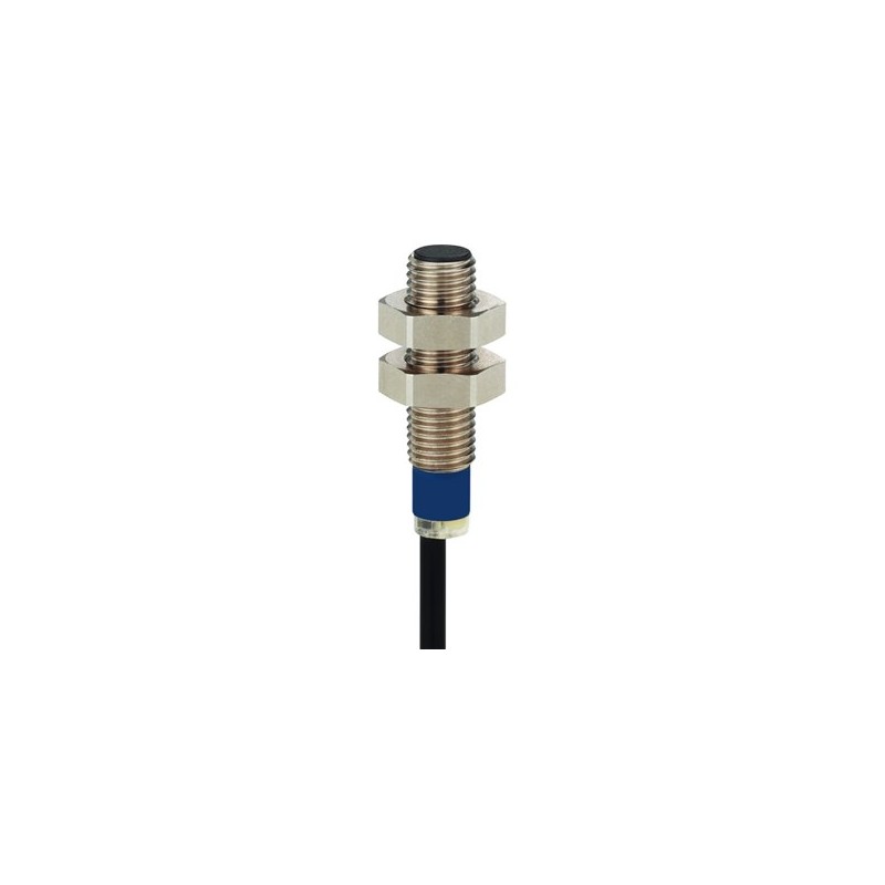 Schnieder Electric XS606B1DAL2