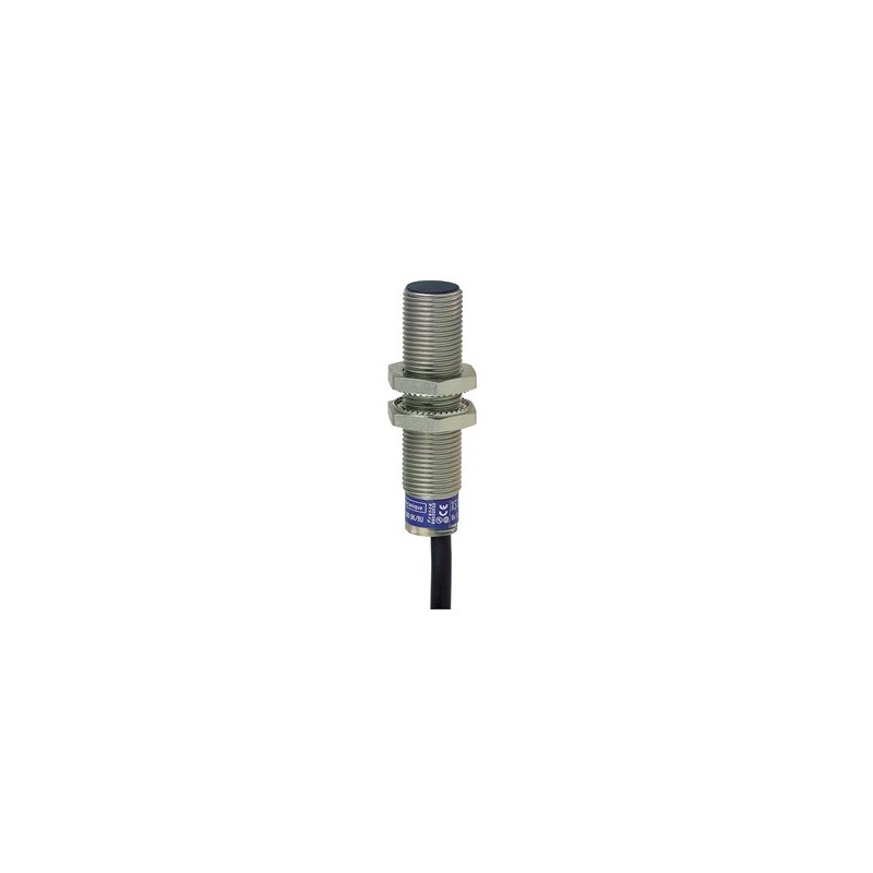 Schnieder Electric XS612B1PAL10EX