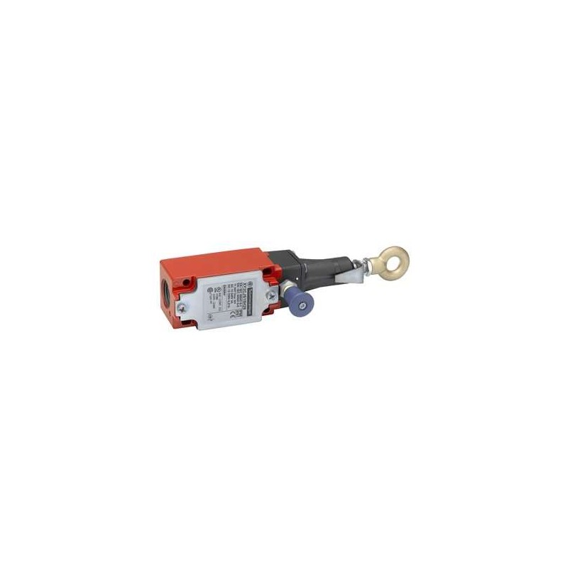 Schnieder Electric XY2CJS19H29